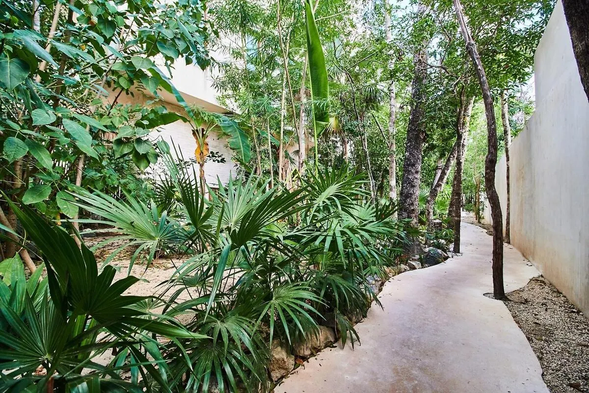 Villa Alux, La Veleta تولوم 0*,  المكسيك